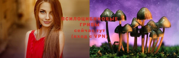 молекула духа Бугульма