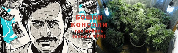 молекула духа Бугульма