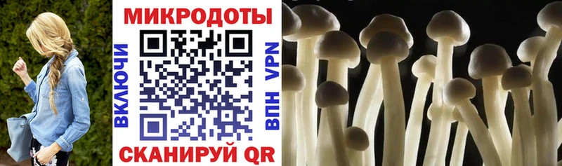 гидра маркетплейс  Вуктыл  Галлюциногенные грибы Psilocybe  мориарти какой сайт  купить  